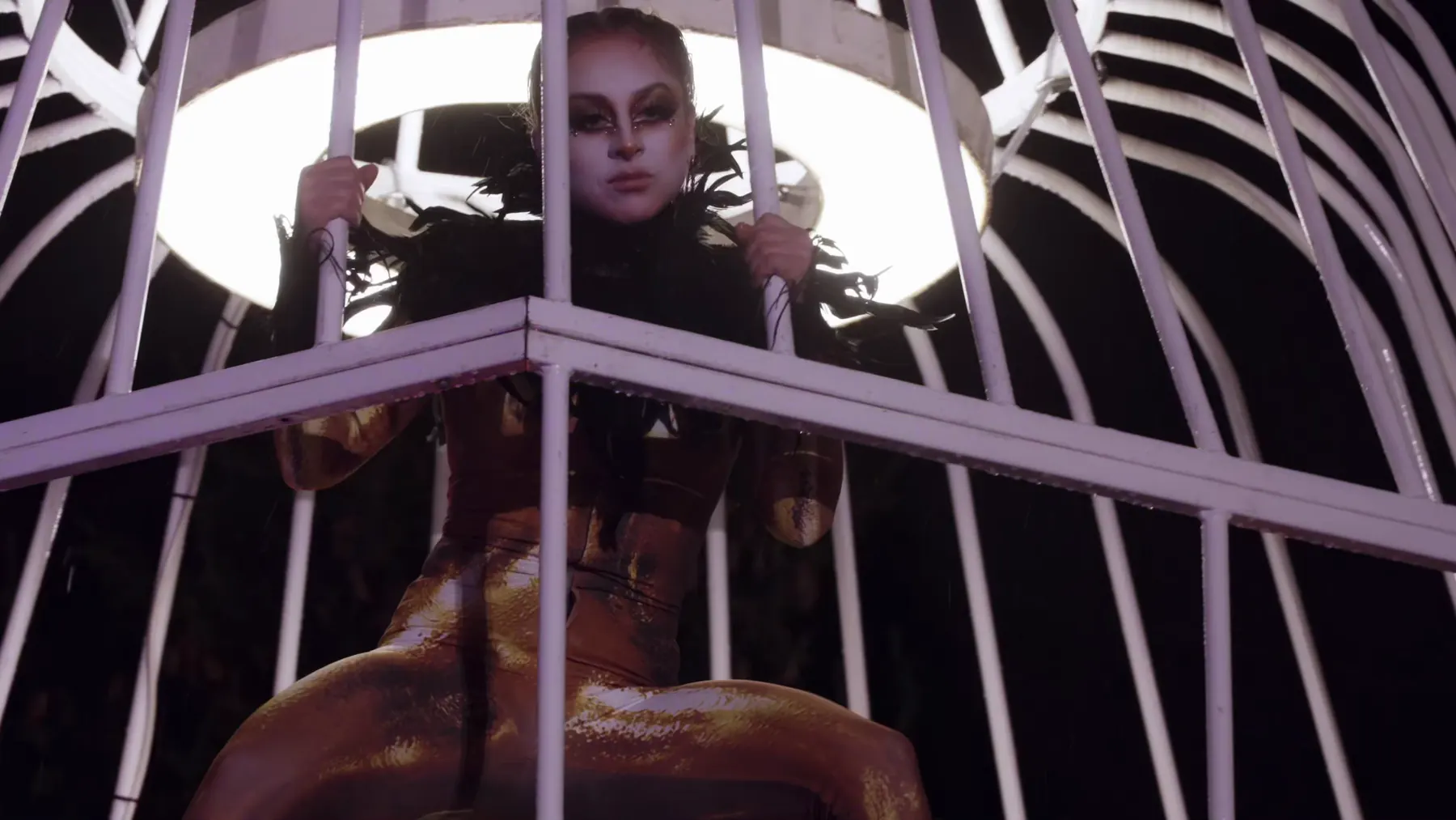 Cage Fantastique, Photo 24