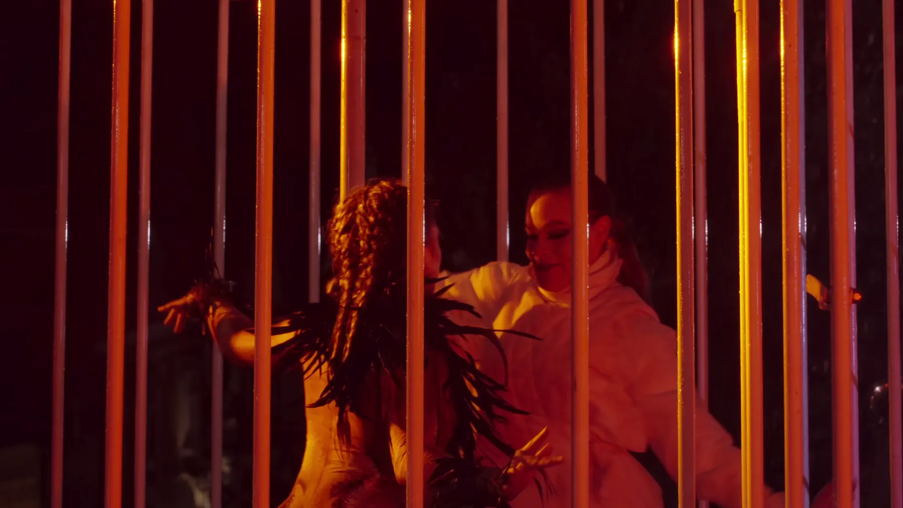 Cage Fantastique, Photo 33